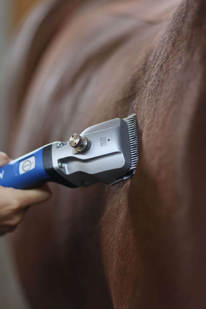 AESCULAP Aesculap Akkuschermaschine Bonum